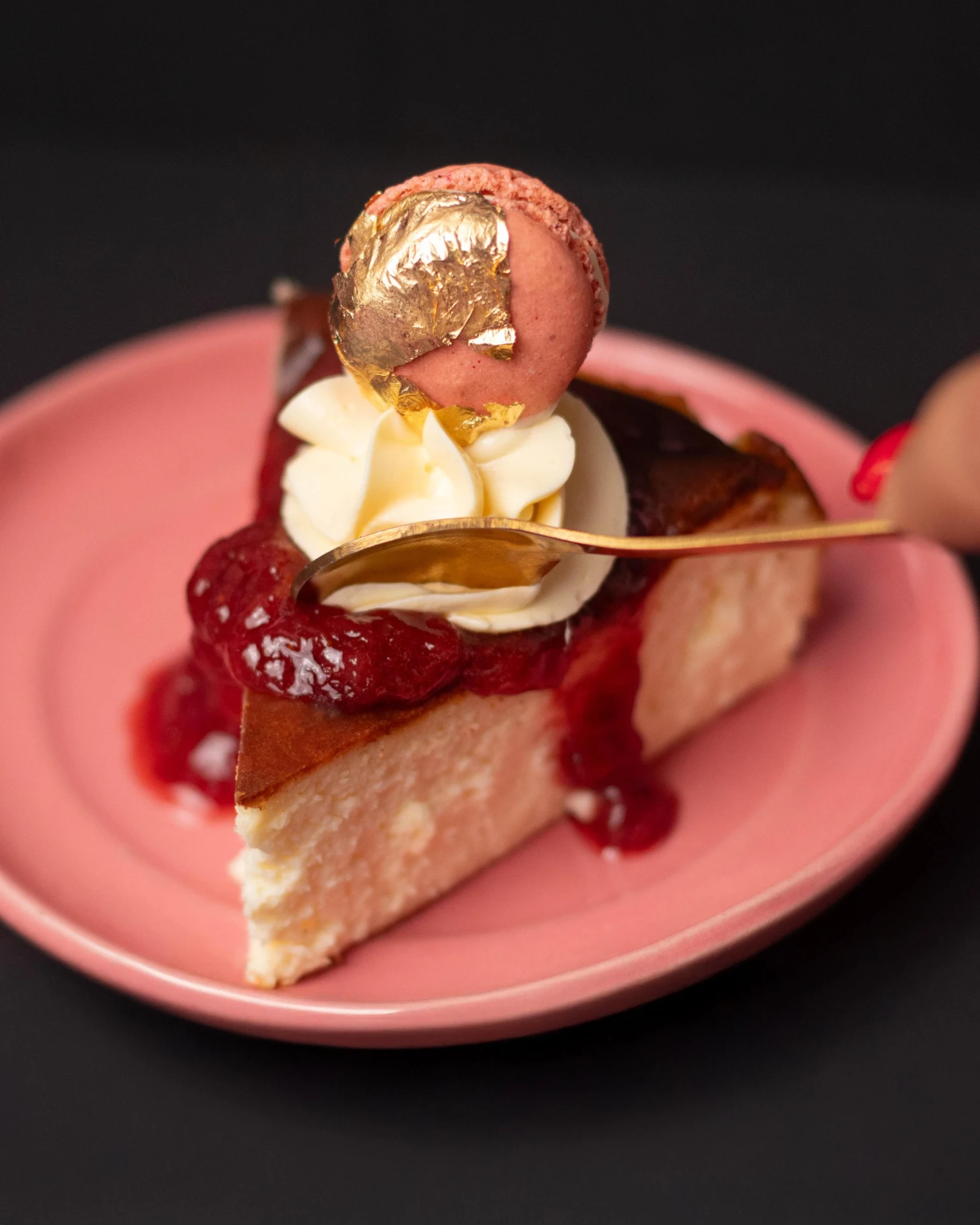 Burnt Basque Cheesecake