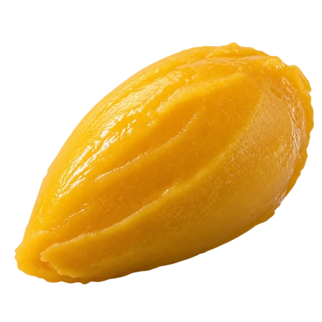 Andros Mango Frozen Puree