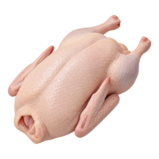 Duck full without head/feet