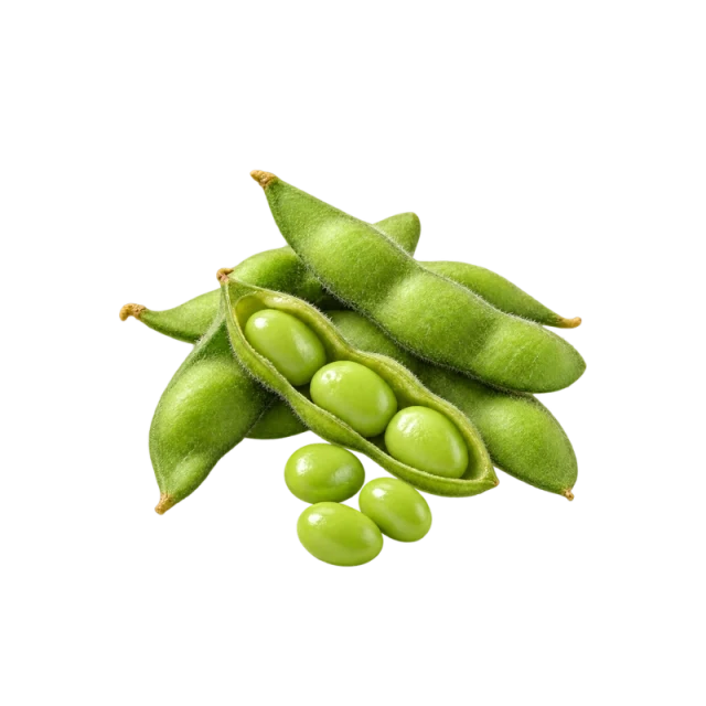 Edamame Pod/Bean