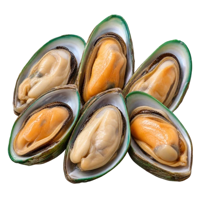 NZ Green Shell Mussels :: Half Shell