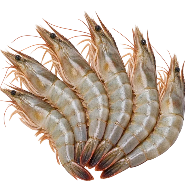 Prawns